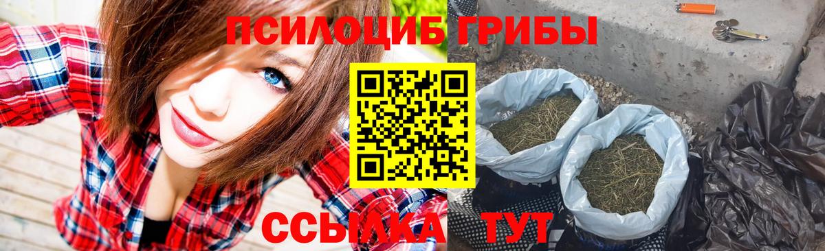 Псилоцибиновые грибы Psilocybine cubensis  Вход с VPN  Курчалой 