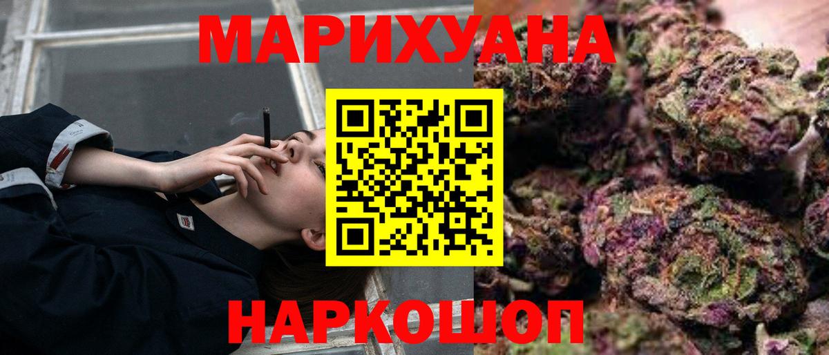 Канабис гибрид Курчалой